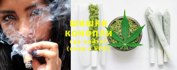 дурь Бикин