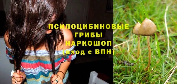 бошки Коряжма
