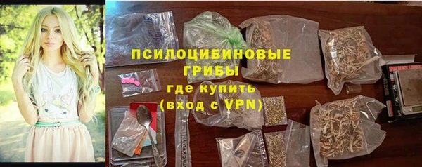 ПСИЛОЦИБИНОВЫЕ ГРИБЫ Краснослободск