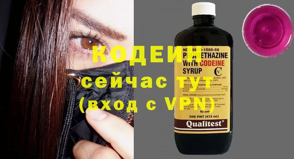 гидра Корсаков