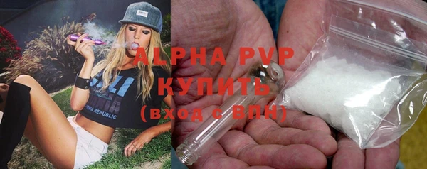 гидра Корсаков