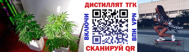 ТГК THC oil Кинешма