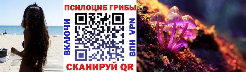 kraken ссылки  Кинешма  Галлюциногенные грибы Psilocybine cubensis 